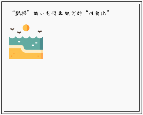 “飘摇”的小电行业 铁打的“性价比”需求 _bellbet贝博最新官网